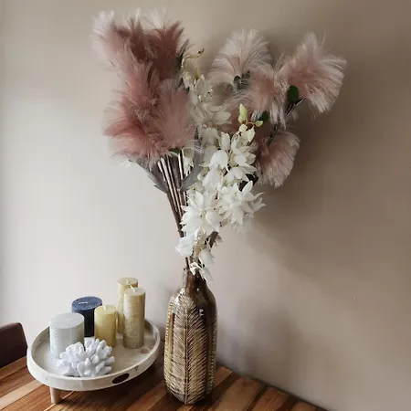 Casa Cinco Tatil Evi